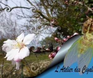 L'atelier Des Cigales L'atelier Des Cigales