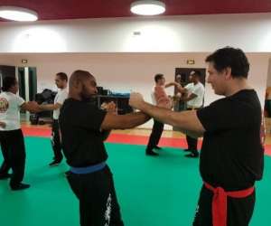 Wing-tsun du scorpion noir Wing-tsun du scorpion noir