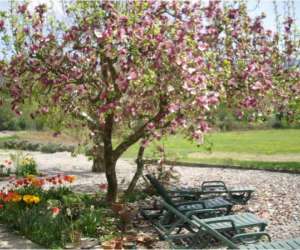 photo Le clos de la milloude ' location saisonniere ' Vions 6088