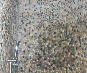 photo Retour aux sources Feurs 4281