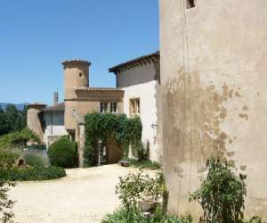 photo Le chateau de la rebatiere Salaise Sur Sanne 9981