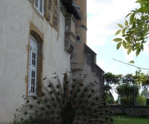 photo Le chateau de la rebatiere Salaise Sur Sanne 9982