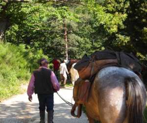photo Randonnes cheval ardche Gluiras 4718