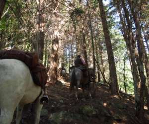 photo Randonnes cheval ardche Gluiras 4719