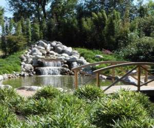 photo Les jardins aquatiques et son muse St Didier Sur Chalaronne 10977