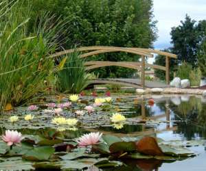 Les Jardins Aquatiques Et Son Muse