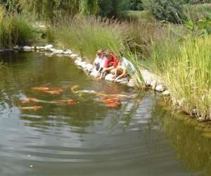 photo Les jardins aquatiques et son muse St Didier Sur Chalaronne 10986