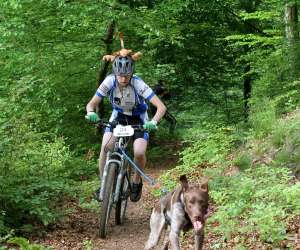 photo Club chiens de traineau - nord isere - section ardechoise ctni Privas 6676