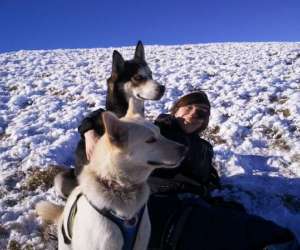 photo Club chiens de traineau - nord isere - section ardechoise ctni Privas 6677