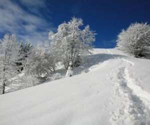 Altitude Nature Au Pays Du Mont-blanc