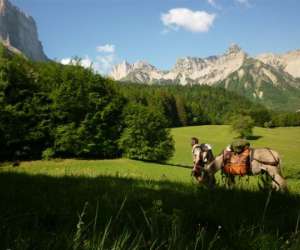 photo Ok corr ane La Chapelle En Vercors 8297