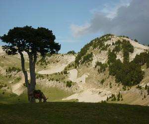 photo Ok corr ane La Chapelle En Vercors 8298