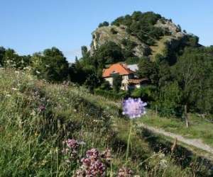 Domaine Du Rocher Saint-loup