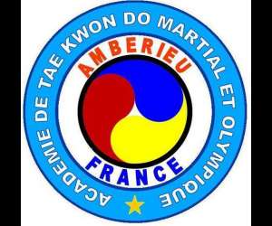 Academie De Tae Kwon Do Martial Et Olympique