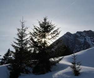 photo Traces et nature Chambery 5554