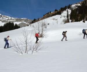 photo Traces et nature Chambery 5557