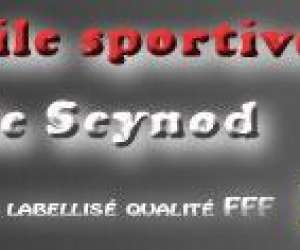 Etoile Sportive Seynod Football