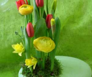 photo Au jardin de matisse - artisan fleuriste St Peray 6396