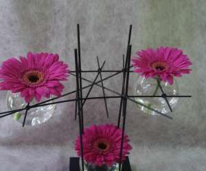 photo Au jardin de matisse - artisan fleuriste St Peray 6398