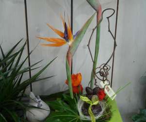 photo Au jardin de matisse - artisan fleuriste St Peray 6400