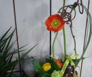 photo Au jardin de matisse - artisan fleuriste St Peray 6401