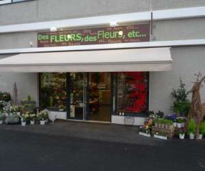 Des Fleurs, Des Fleurs Etc...