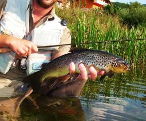 photo Stephane poencet peche mouche Etrembieres 6068