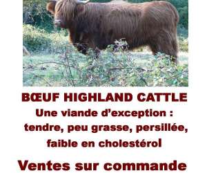 photo Chambres d'htes familiales le grand noyer Ambronay 6698