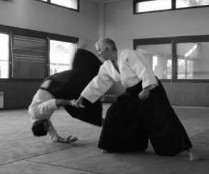Aikido amicale laique beaulieu Aikido amicale laique beaulieu