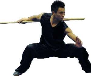 photo Sansao kung fu club Lyon 9462