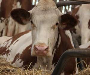 Vente De Produits  La Ferme