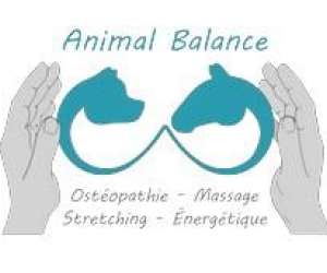 photo Animal balance - osteopathie animale Challex 7956