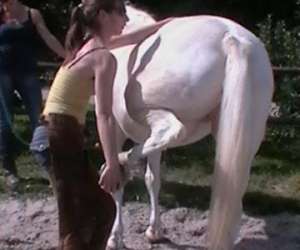 Animal Balance - Osteopathie Animale Animal Balance - Osteopathie Animale