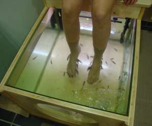 photo Zen fish pedicure Pouilly Le Monial 9186