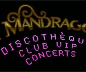 La Mandragore Pub Number One La Mandragore Pub Number One