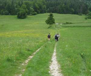 photo Rewild  Lans En Vercors 9624
