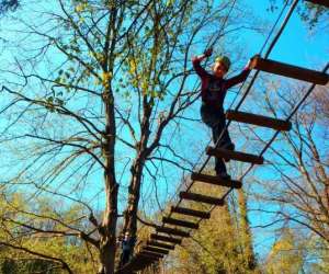 photo Parc aventures brunerie Voiron 13840