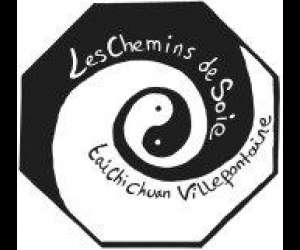 Tai Chi Chuan Les Chemins De Soie