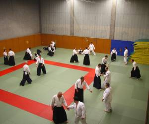 Grenoble aïkido et disciplines associées