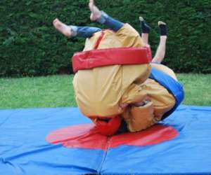 photo Manege  le lutin Chateauneuf Sur Isere 13226