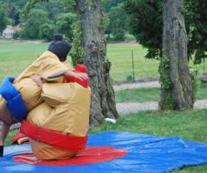 photo Manege  le lutin Chateauneuf Sur Isere 13987