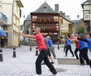 Association De Tai Chi Taoste  Saint-etienne