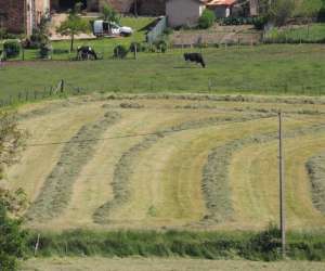 photo Auberge un air de campagne Bully 11481