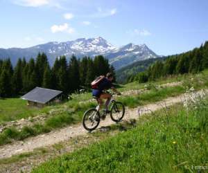 Bike School Evolution