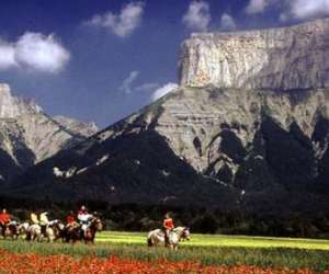 photo Ferme questre les 4 chemins Chichilianne 12869