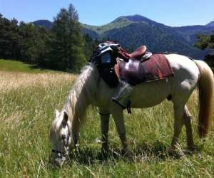 photo Ferme questre les 4 chemins Chichilianne 12871