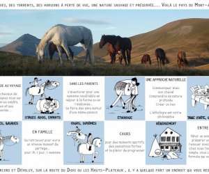 photo Ferme questre les 4 chemins Chichilianne 12873