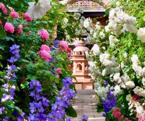 photo Jardins secrets Vaulx 15835