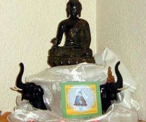 photo Institut wanxiang - qigong - diabte -  obsit Romans Sur Isere 13067