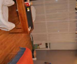 photo Audubert   luc    ostopathe humain / quin / canin  Annemasse 13370